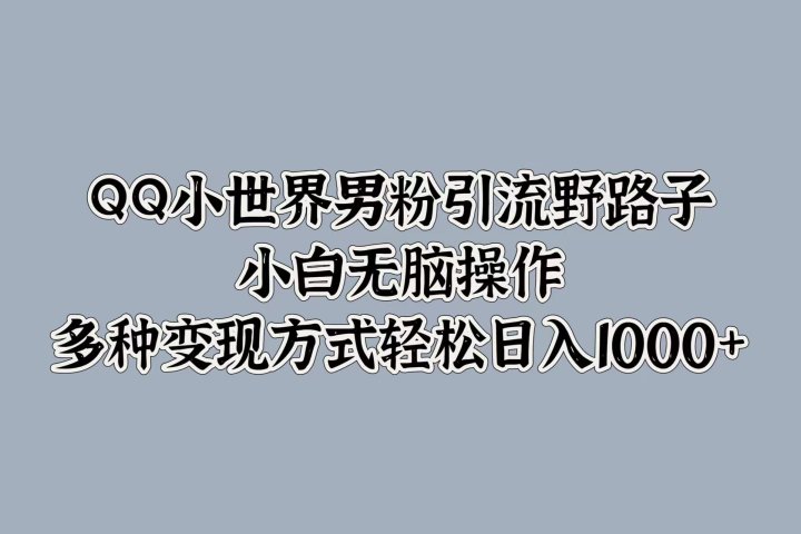 QQ小世界男粉引流野路子，小白无脑操作，多种变现方式轻松日入1000+创业吧-网创项目资源站-副业项目-创业项目-搞钱项目创业吧