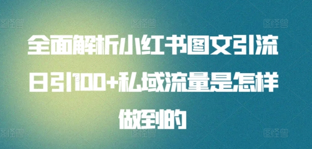 日引流100私域流量小红书图文是怎样做到的全面解析创业吧-网创项目资源站-副业项目-创业项目-搞钱项目创业吧