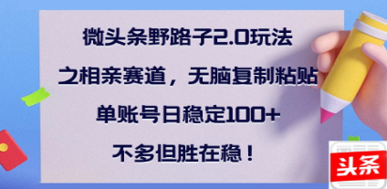 全网首发微头条野路子2.0玩法之相亲赛道，无脑搬砖复制粘贴，单账号日稳定300+保姆级教程创业吧-网创项目资源站-副业项目-创业项目-搞钱项目创业吧