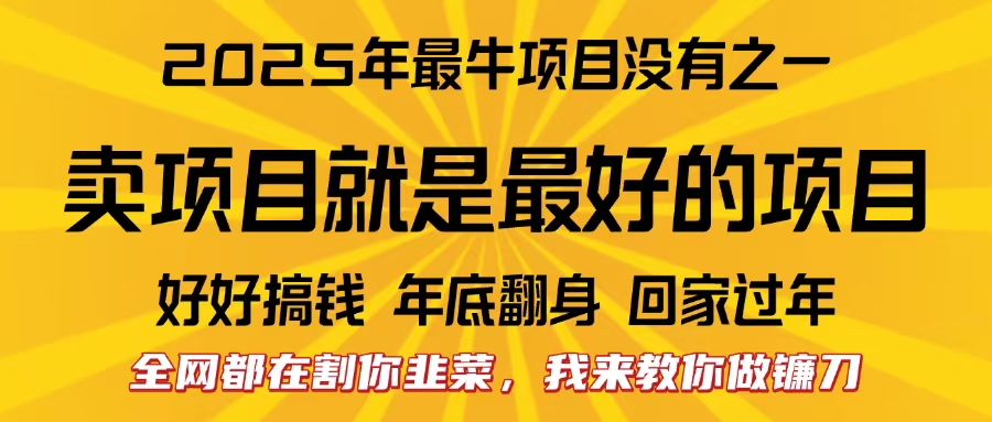 全网都在割你韭菜，我来教你做镰刀。卖项目就是最好的项目，2025年最牛互联网项目创业吧-网创项目资源站-副业项目-创业项目-搞钱项目创业吧