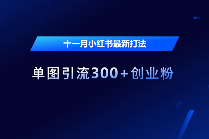 十一月，小红书最新打法，单图引流300+创业粉创业吧-网创项目资源站-副业项目-创业项目-搞钱项目创业吧