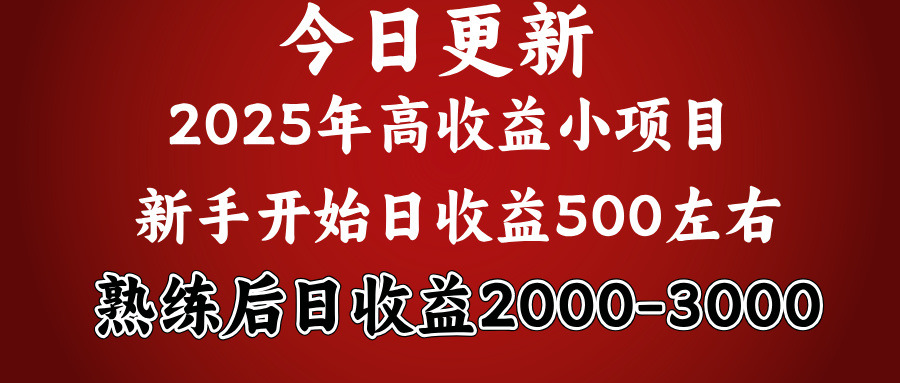 好项目一眼就能看出来，日收益1000，长久可做，2025拼的就是我比你勤奋创业吧-网创项目资源站-副业项目-创业项目-搞钱项目创业吧